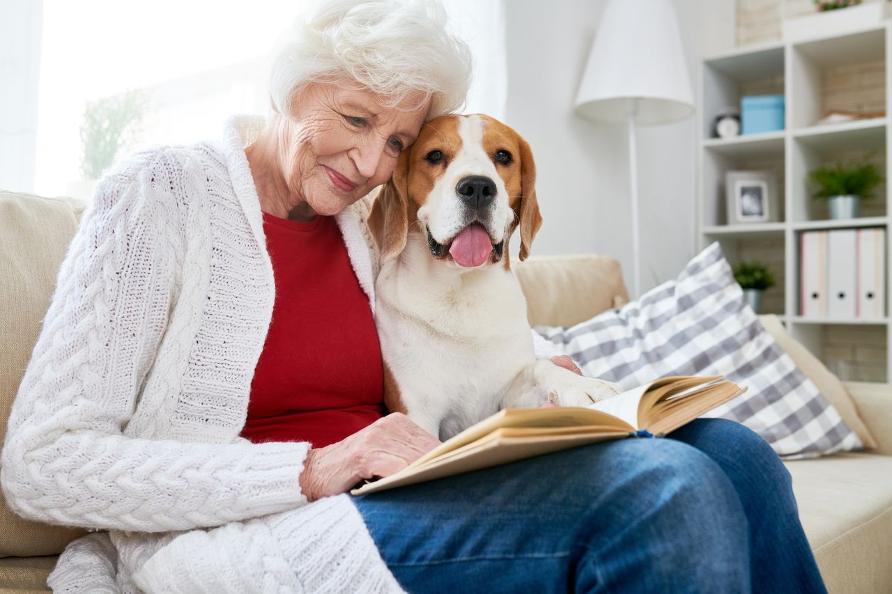 Comment les animaux peuvent-ils apporter du bonheur et améliorer la qualité de vie des résidents dans les maisons de retraite et EHPAD