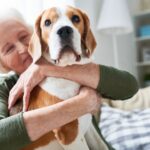Seniors : Voici Pourquoi un Animal de Compagnie peut Changer votre Vie