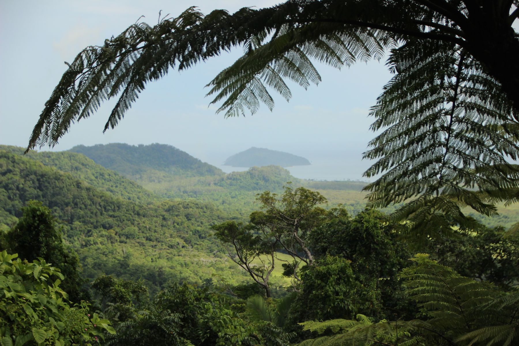 le Costa Rica possède de nombreux parcs nationaux permettant aux seniors d'y faire des randonnées 