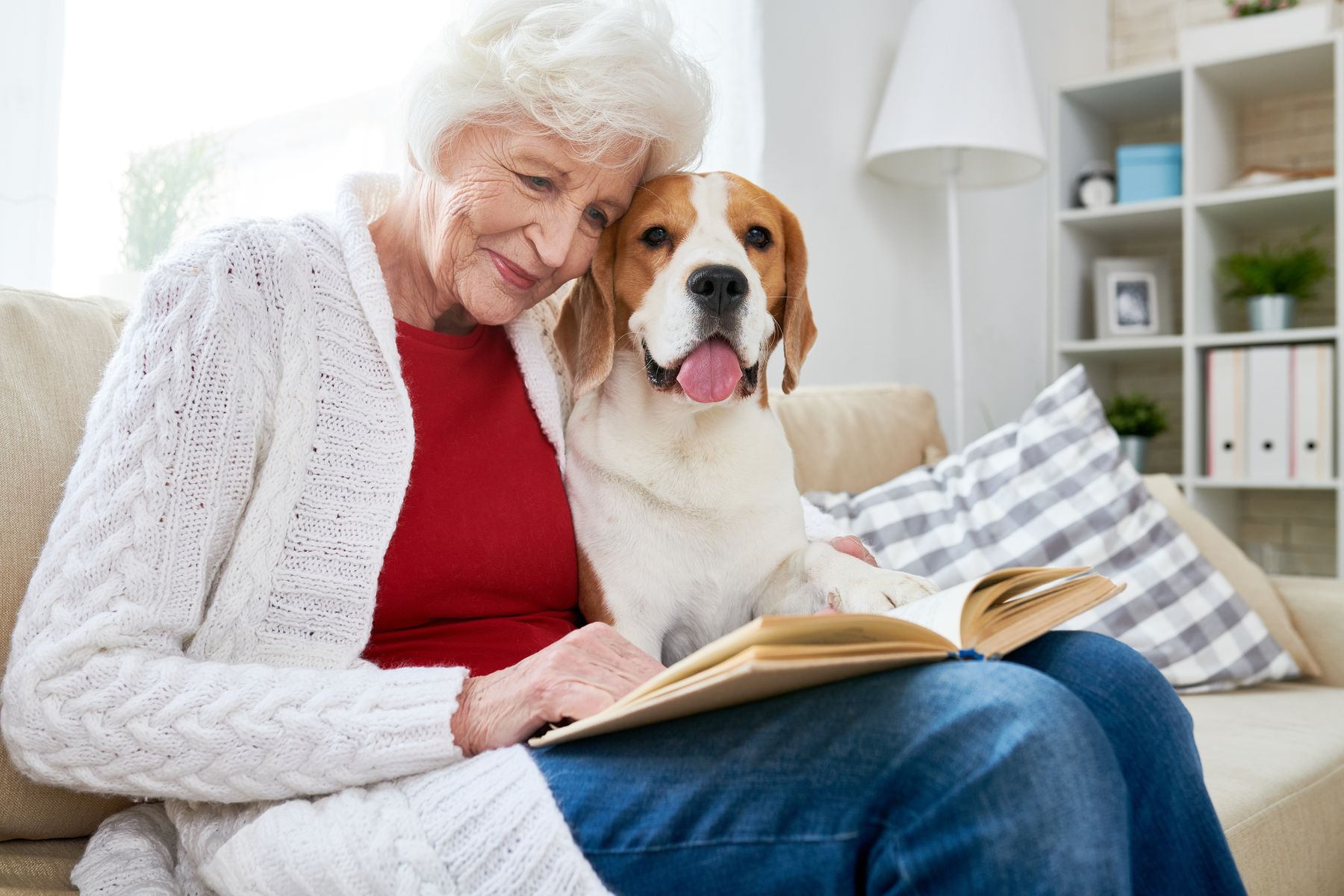 EHPAD acceptant les animaux de compagnie les conditions réelles en 2026 (pas juste la brochure)