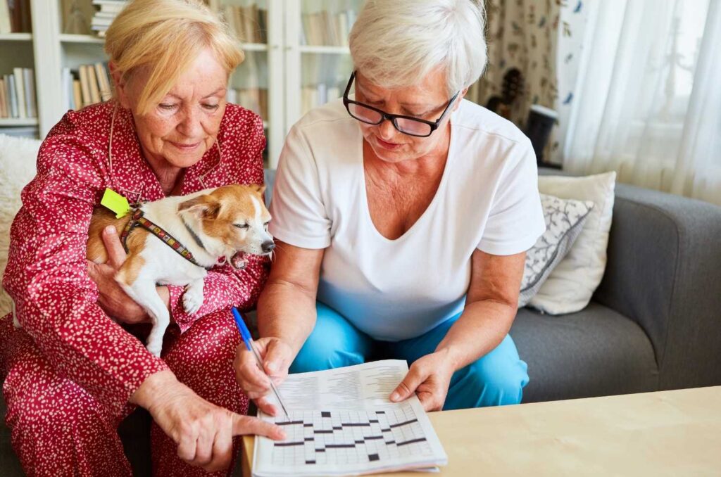 trouble du comportement Alzheimer